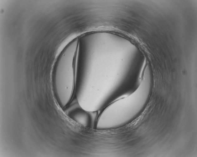 X0000062651422200601040906