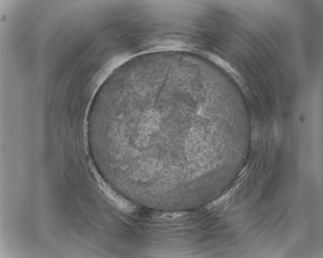 X0000062651423200601040906