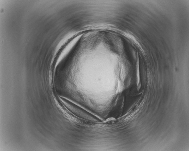 X0000062651424200601040906