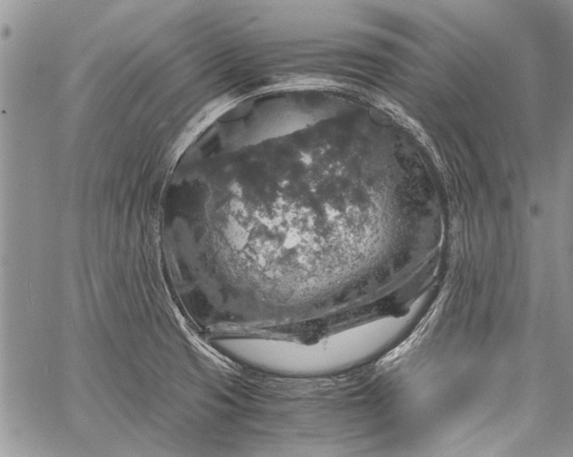 X0000062651425200601040906