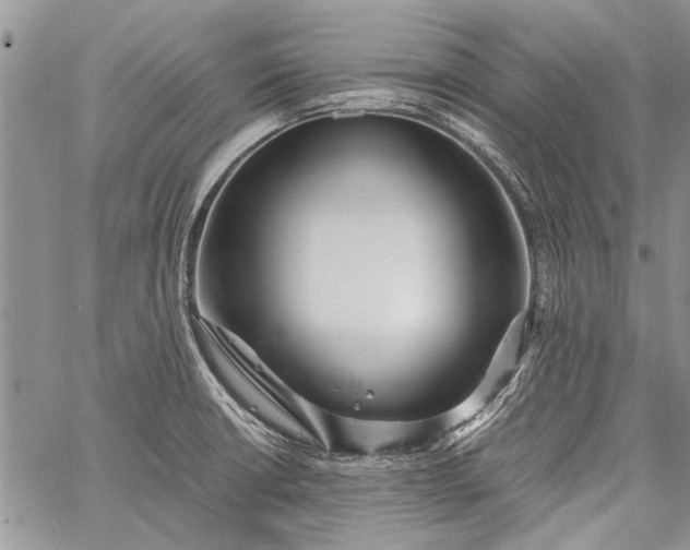 X0000062651426200601040906