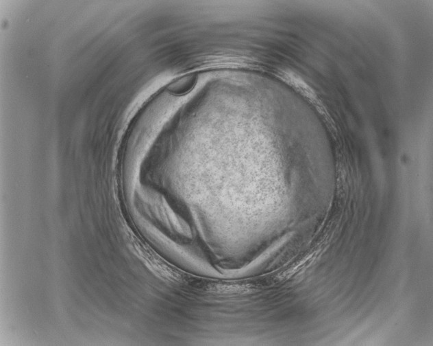 X0000062651427200601040906