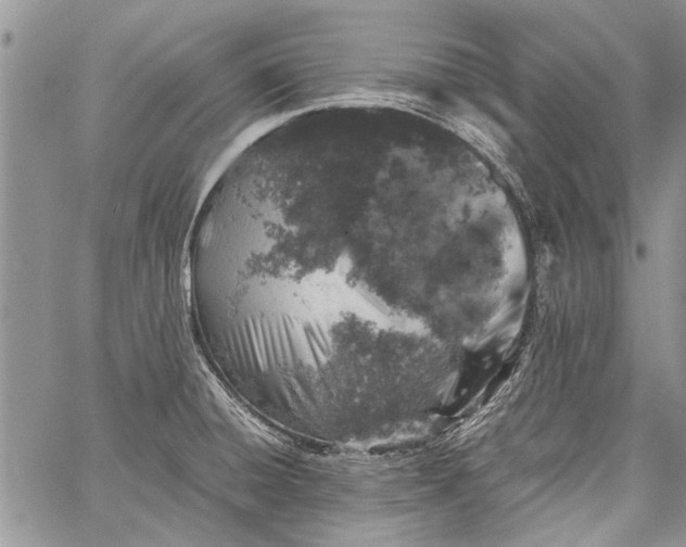 X0000062651428200601040906