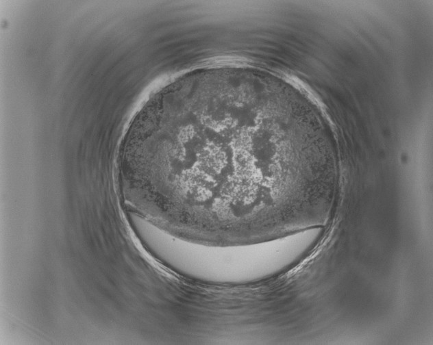 X0000062651429200601040906