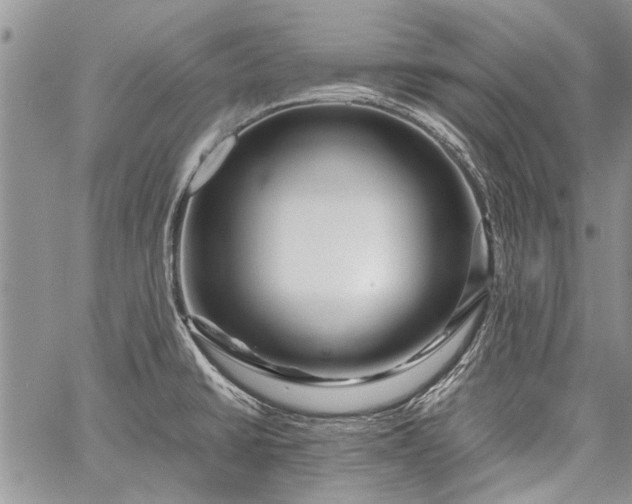 X0000062651430200601040906