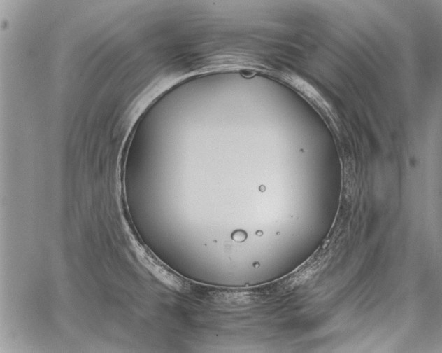 X0000062651431200601040906