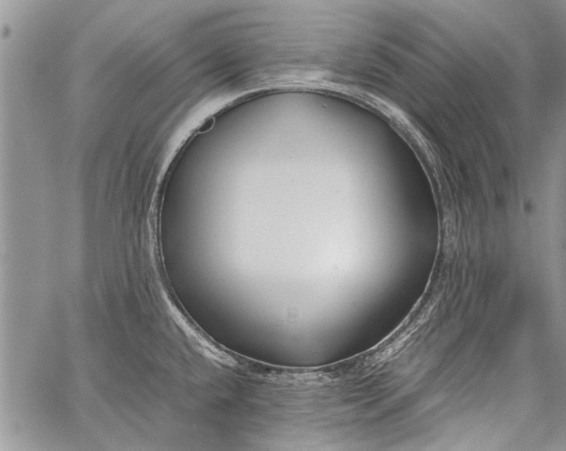 X0000062651432200601040906