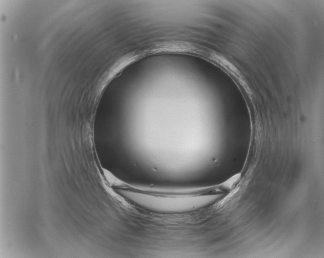 X0000062651433200601040906