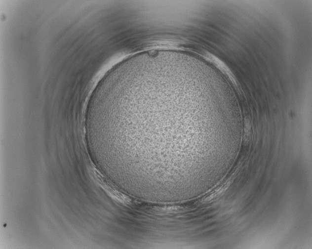 X0000062651435200601040906