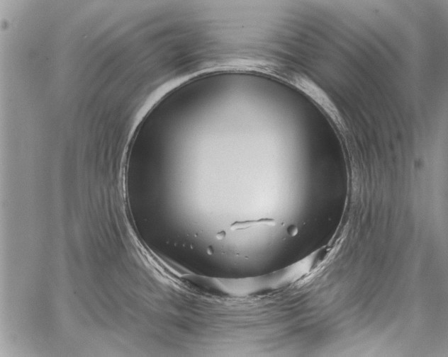 X0000062651436200601040906