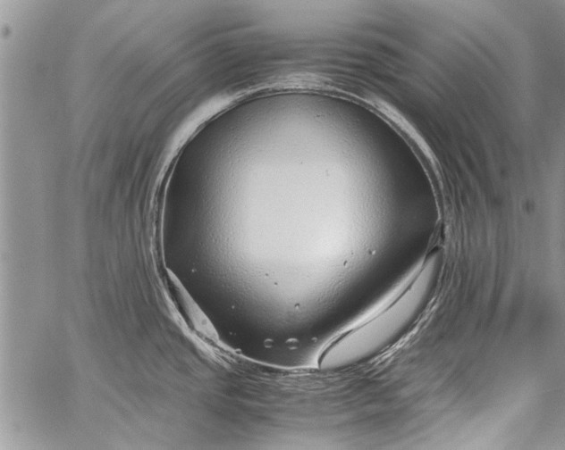 X0000062651437200601040906