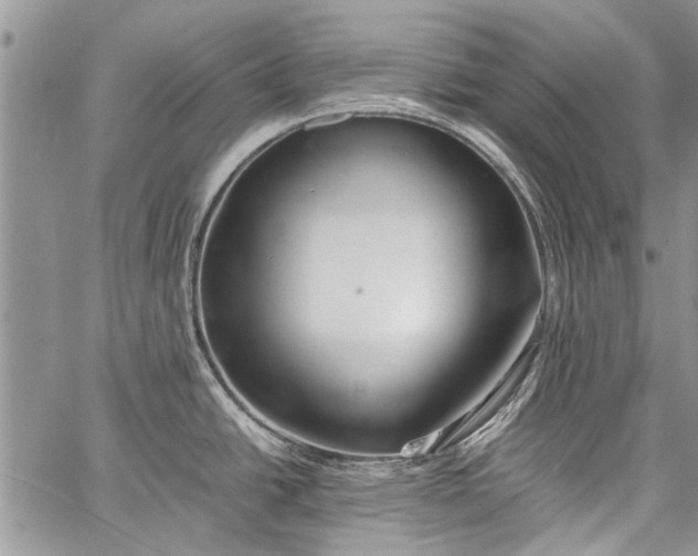 X0000062651438200601040907