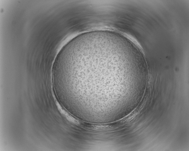 X0000062651439200601040907