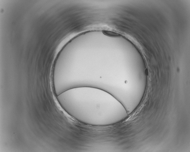 X0000062651440200601040907