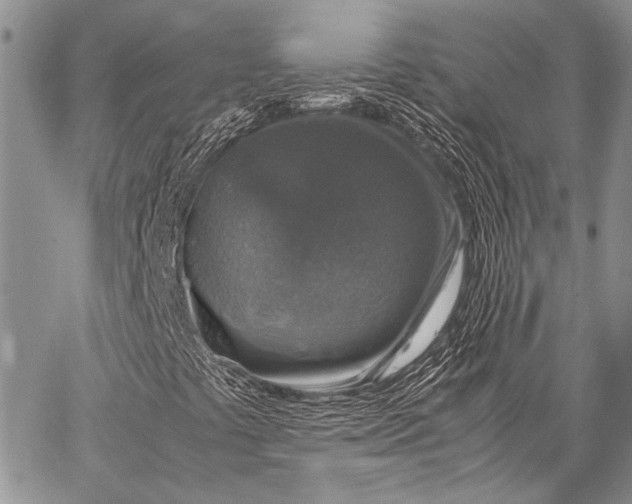 X0000062651441200601040906