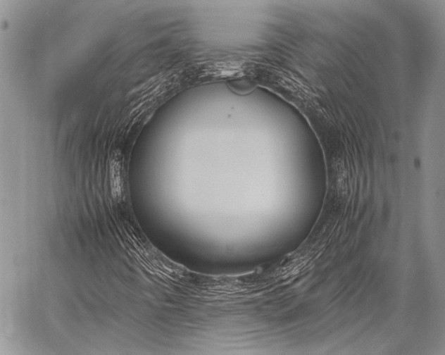 X0000062651442200601040906