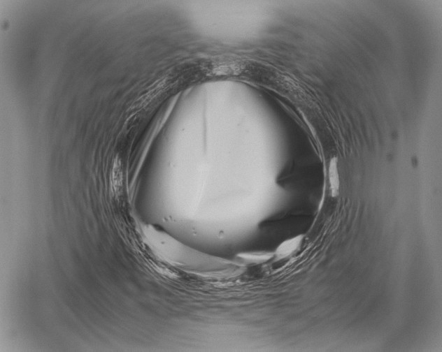 X0000062651443200601040906