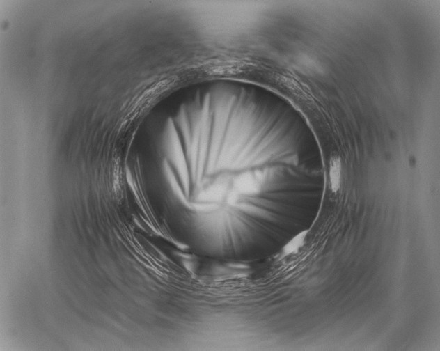 X0000062651444200601040906