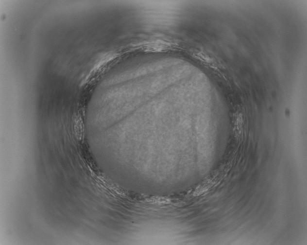 X0000062651446200601040906