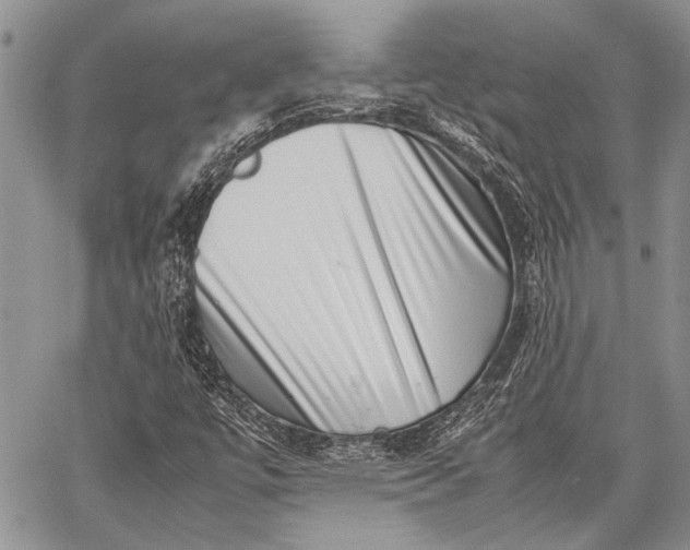 X0000062651447200601040906