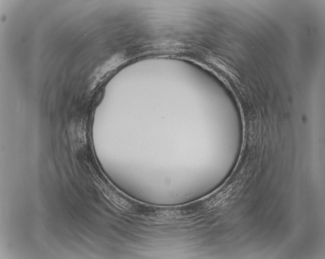 X0000062651451200601040906