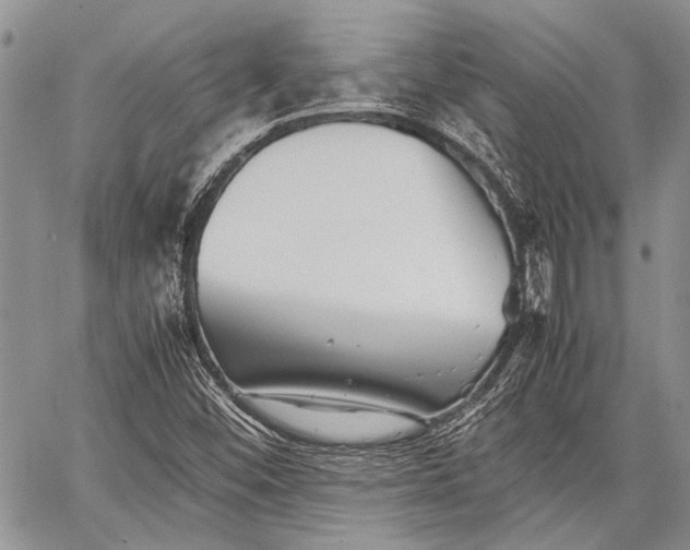 X0000062651452200601040906