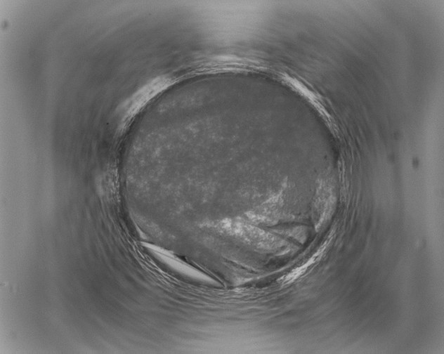 X0000062651453200601040906