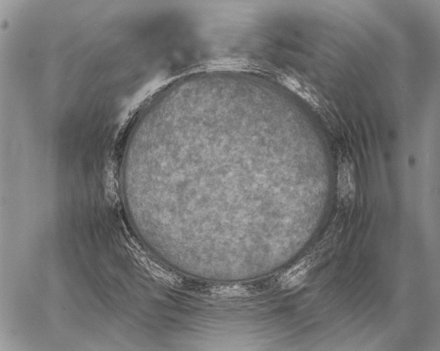 X0000062651454200601040906