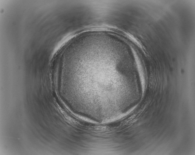 X0000062651456200601040906