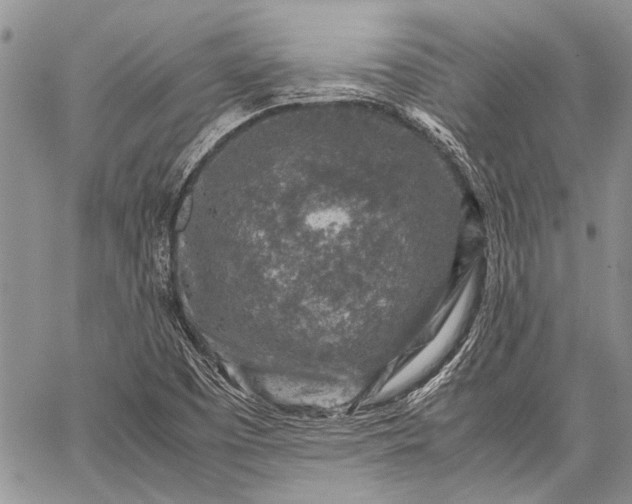 X0000062651457200601040905