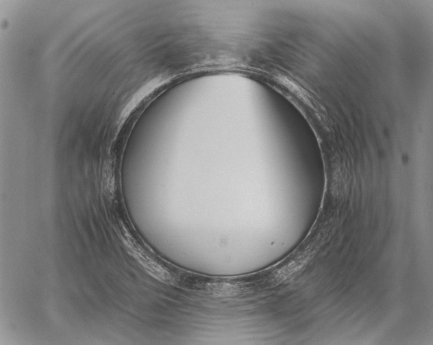 X0000062651458200601040905