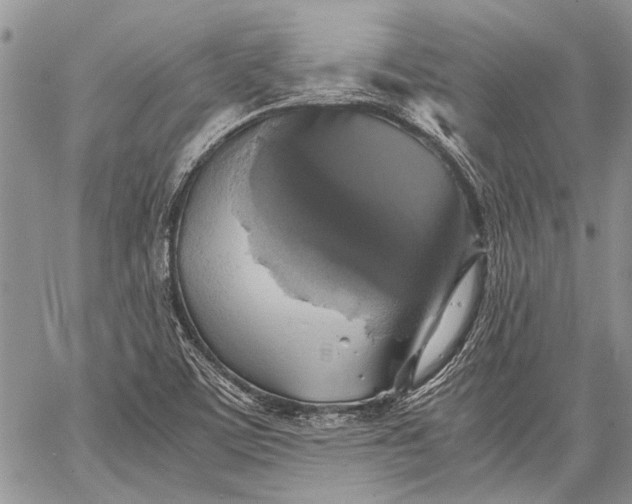 X0000062651459200601040905