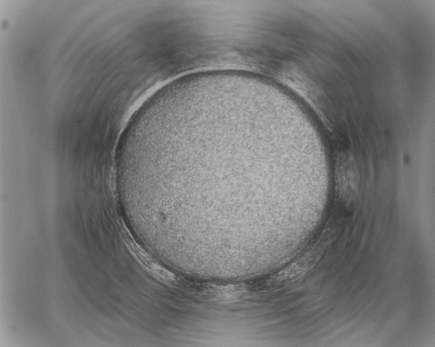 X0000062651460200601040905