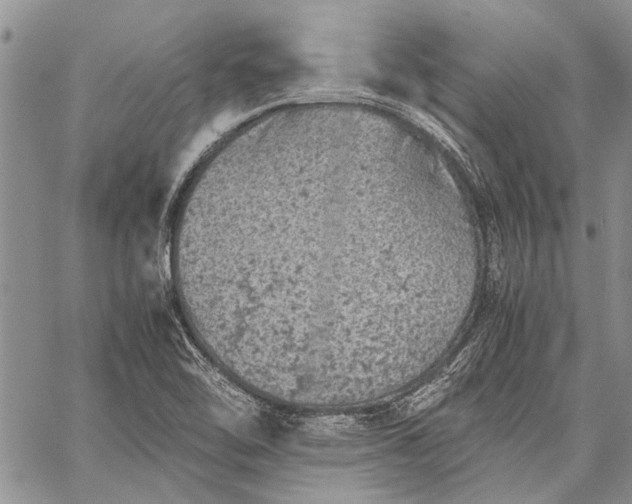 X0000062651462200601040905