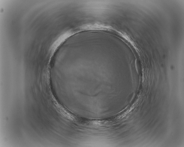 X0000062651463200601040905