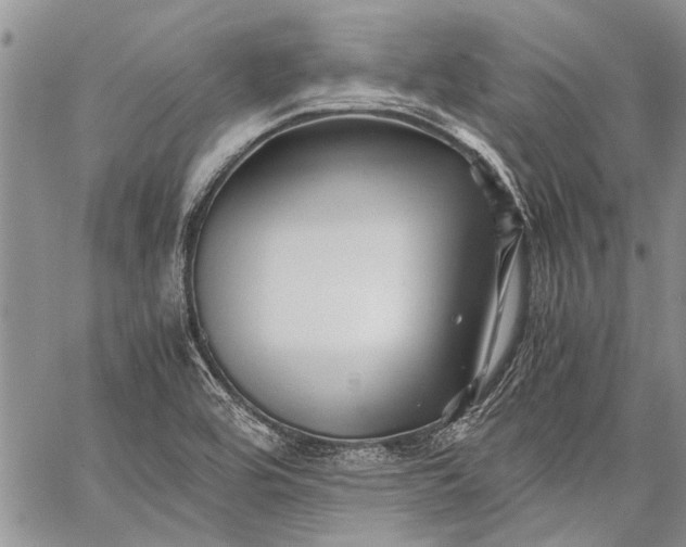 X0000062651464200601040905