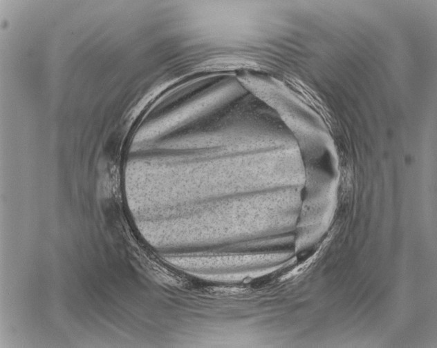 X0000062651465200601040905