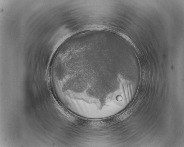 X0000062651466200601040905