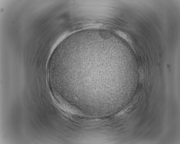 X0000062651467200601040905