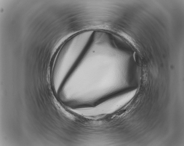 X0000062651468200601040905