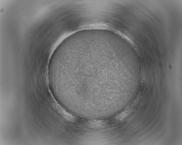 X0000062651470200601040905