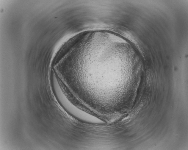 X0000062651472200601040905