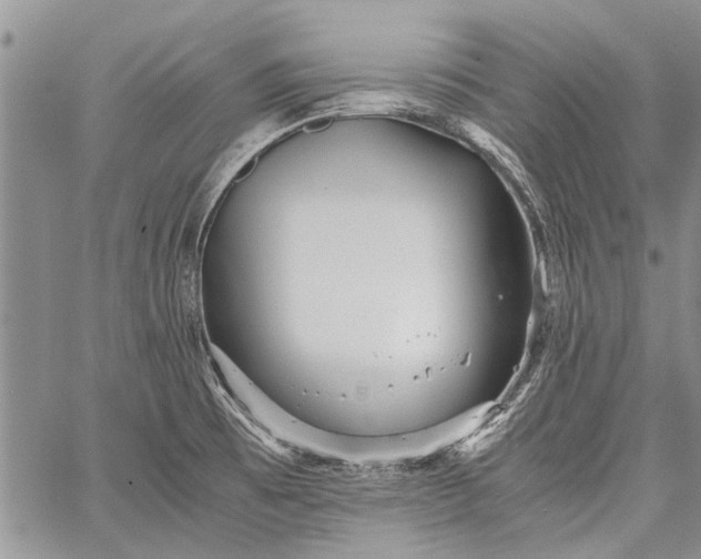 X0000062651473200601040905