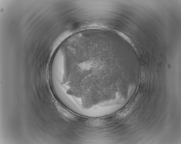 X0000062651474200601040905