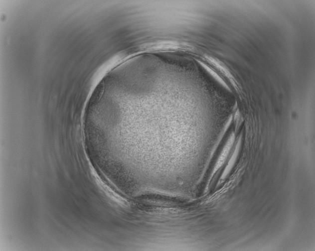 X0000062651475200601040905