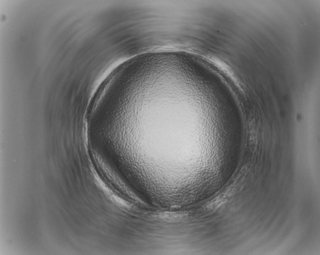 X0000062651476200601040905