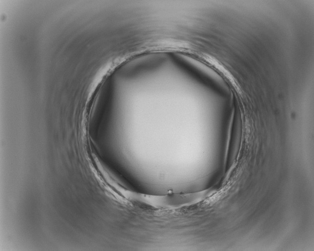 X0000062651477200601040905