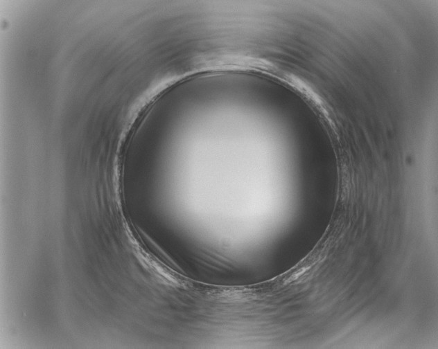 X0000062651480200601040905