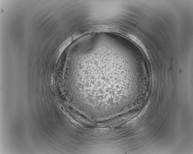 X0000062651481200601040905