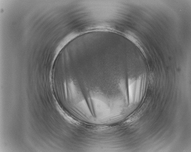 X0000062651482200601040905